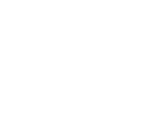 logo white w300